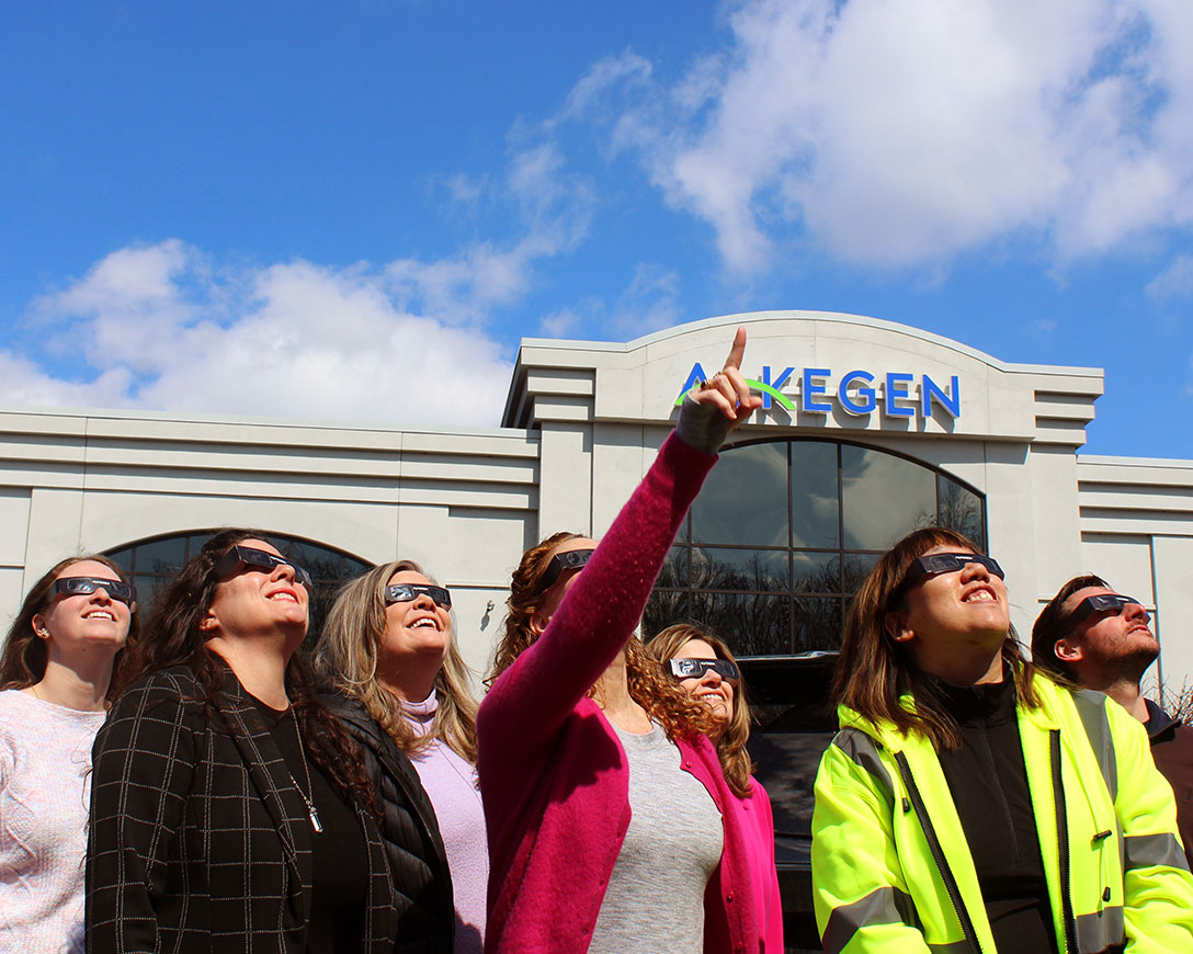 Group of alkegen employees wearing eclipse glasses and looking up at the sky