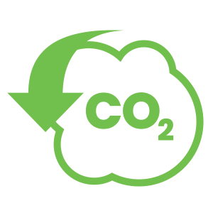 ICON: carbon reduction