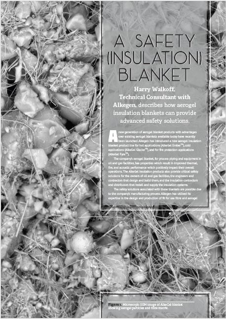 Article cover image: Alkegen Refinery CO2 Reduction